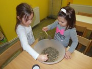 Vůně bylinek a čajů